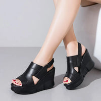 Classic Black