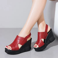 WineRed